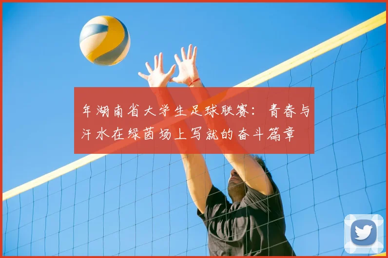 年湖南省大学生足球联赛：青春与汗水在绿茵场上写就的奋斗篇章
