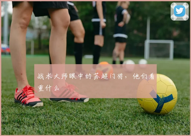 战术大师眼中的苏超门将，他们看重什么