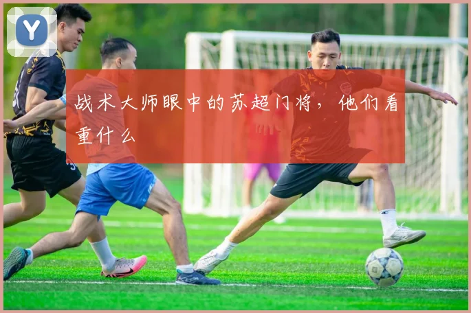 战术大师眼中的苏超门将，他们看重什么