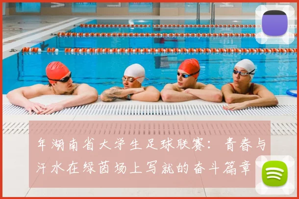 年湖南省大学生足球联赛：青春与汗水在绿茵场上写就的奋斗篇章